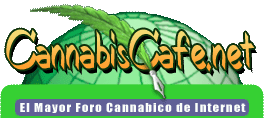 Logotipo original de CannabisCafe.net
